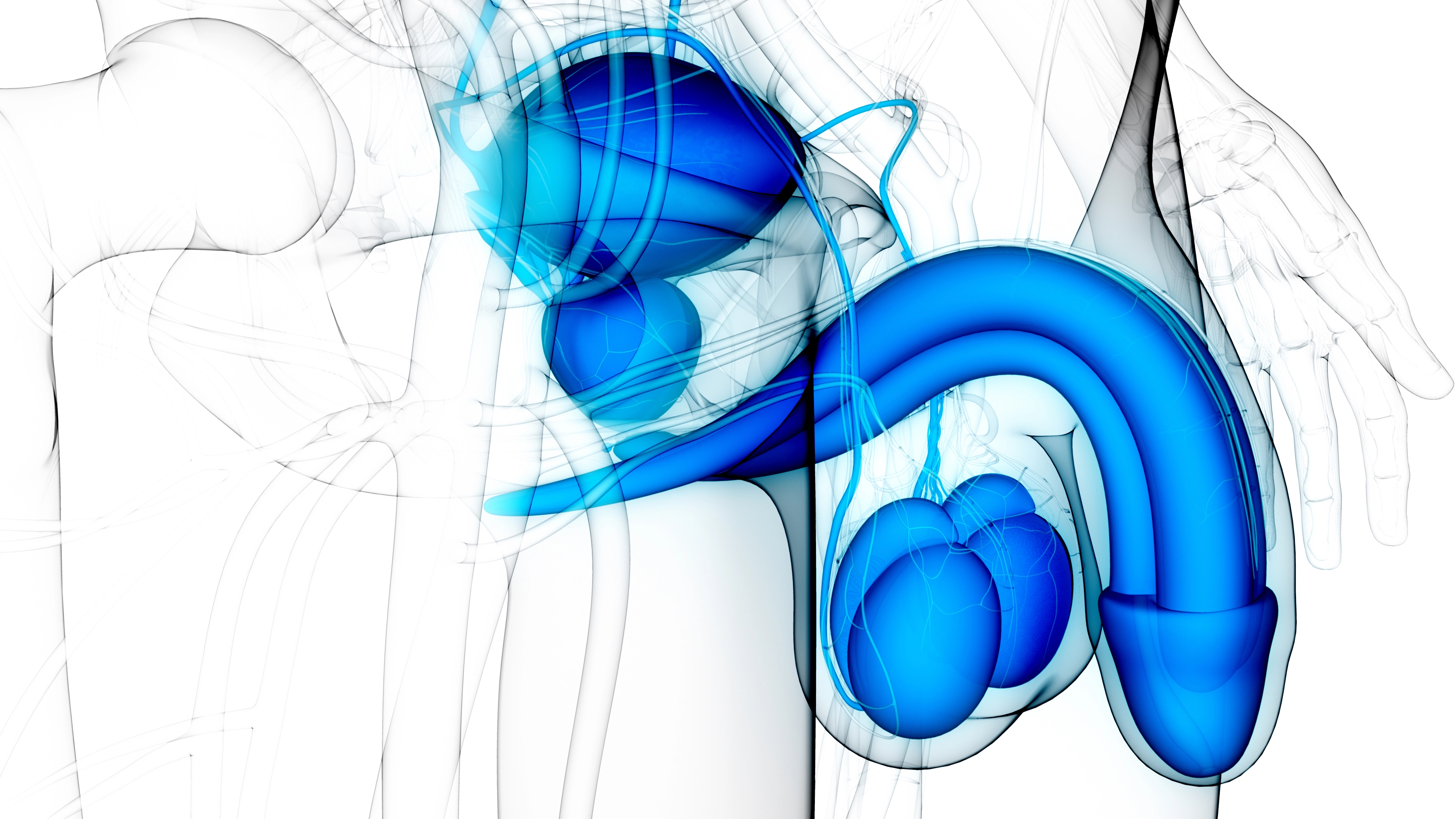 Comprehensive Urologic Care at Urology Video Visit